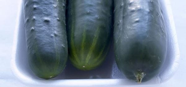 Pepino