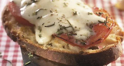 recipe image Tostas de Mozzarella com Tomate