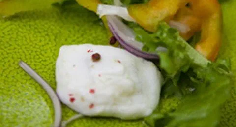 recipe image Tamboril marinado em calda de citrinos