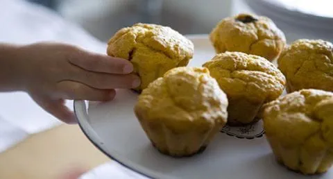 recipe image Muffins de cenoura com pepitas de chocolate