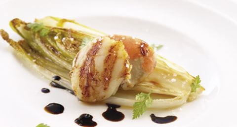 recipe image Coquilles Saint-Jacques grelhadas com endívias caramelizadas