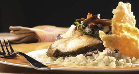 recipe image Lombo de Peixe Galo com Risotto
