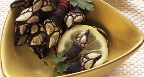 recipe image Percebes com Molho Especial